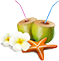 Coconut Icon